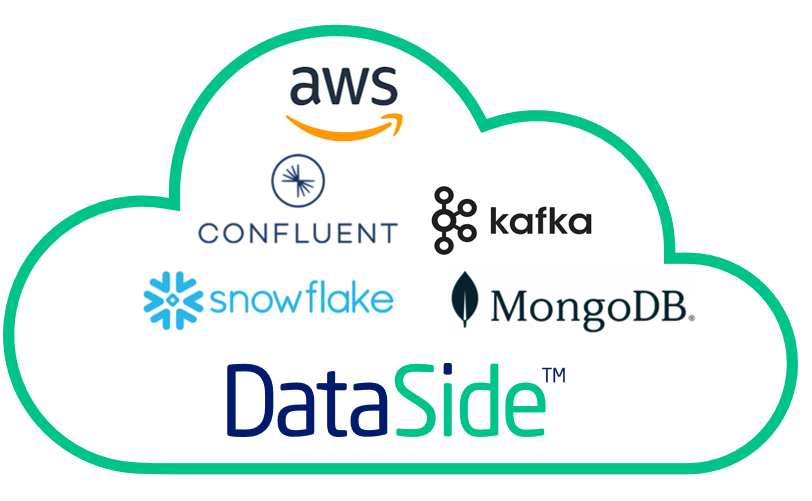 DatsSide data platform core vendors diagram