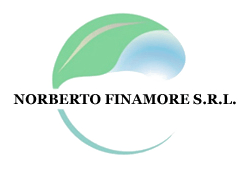 logo FINAMORE NORBERTO
