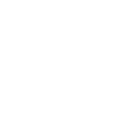 Empty white background.