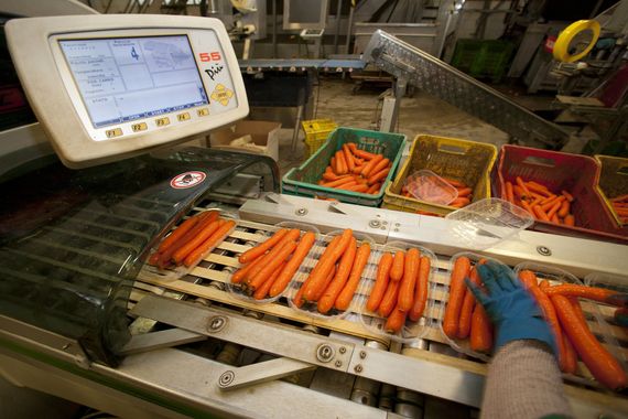 processo confezionamento carote