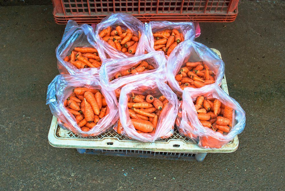 Vendita ingrosso confezioni di carote a Castellazzo Bormida