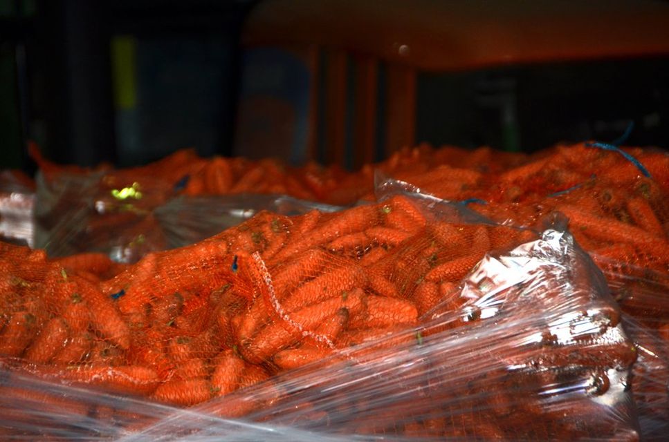 Lavorazione ingrosso carote confezionate a Castellazzo Bormida