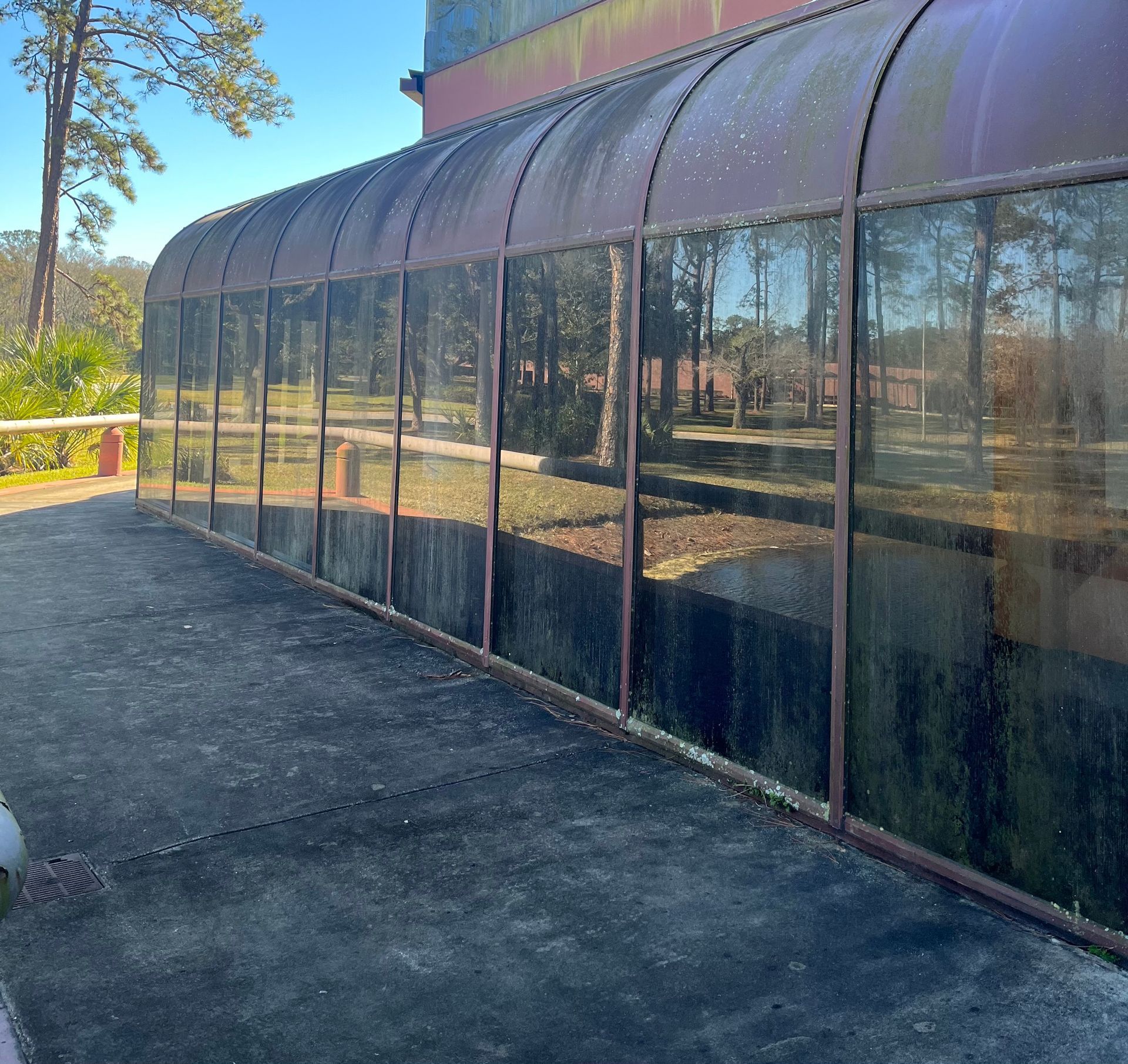 A building with a reflection of trees in the windows