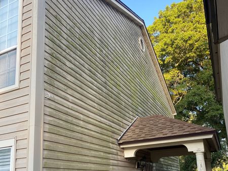 A house with a lot of green algae on the side of it.