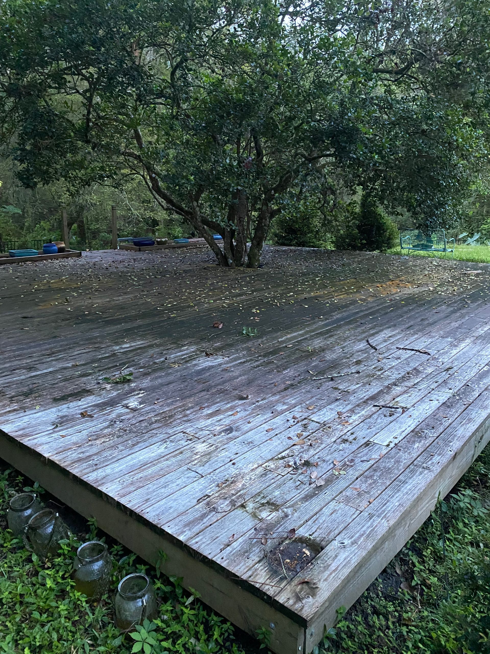 A muddy wooden deck with a tree in the background.