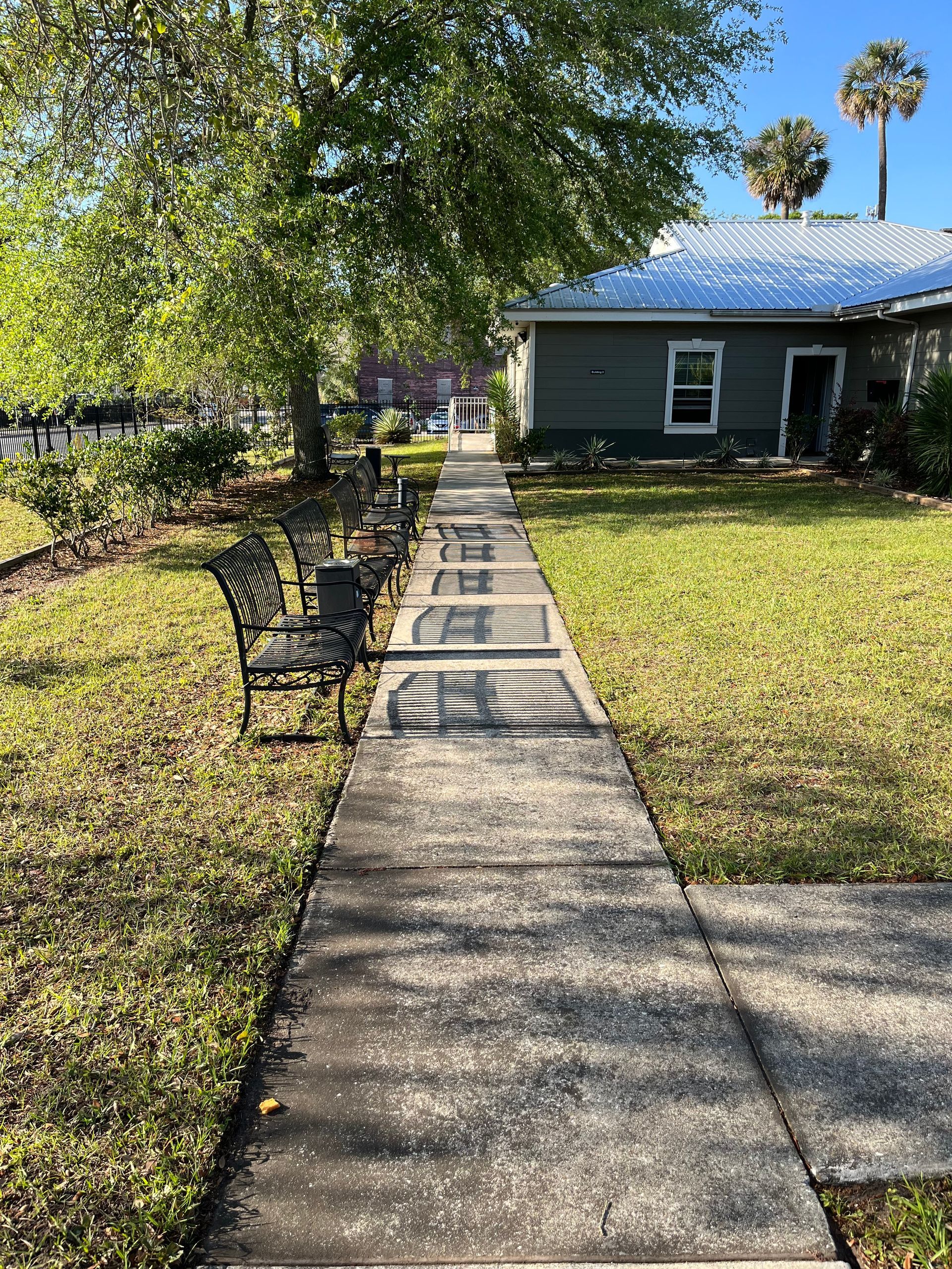 A sidewalk leading to a house with a lot of grass and trees.