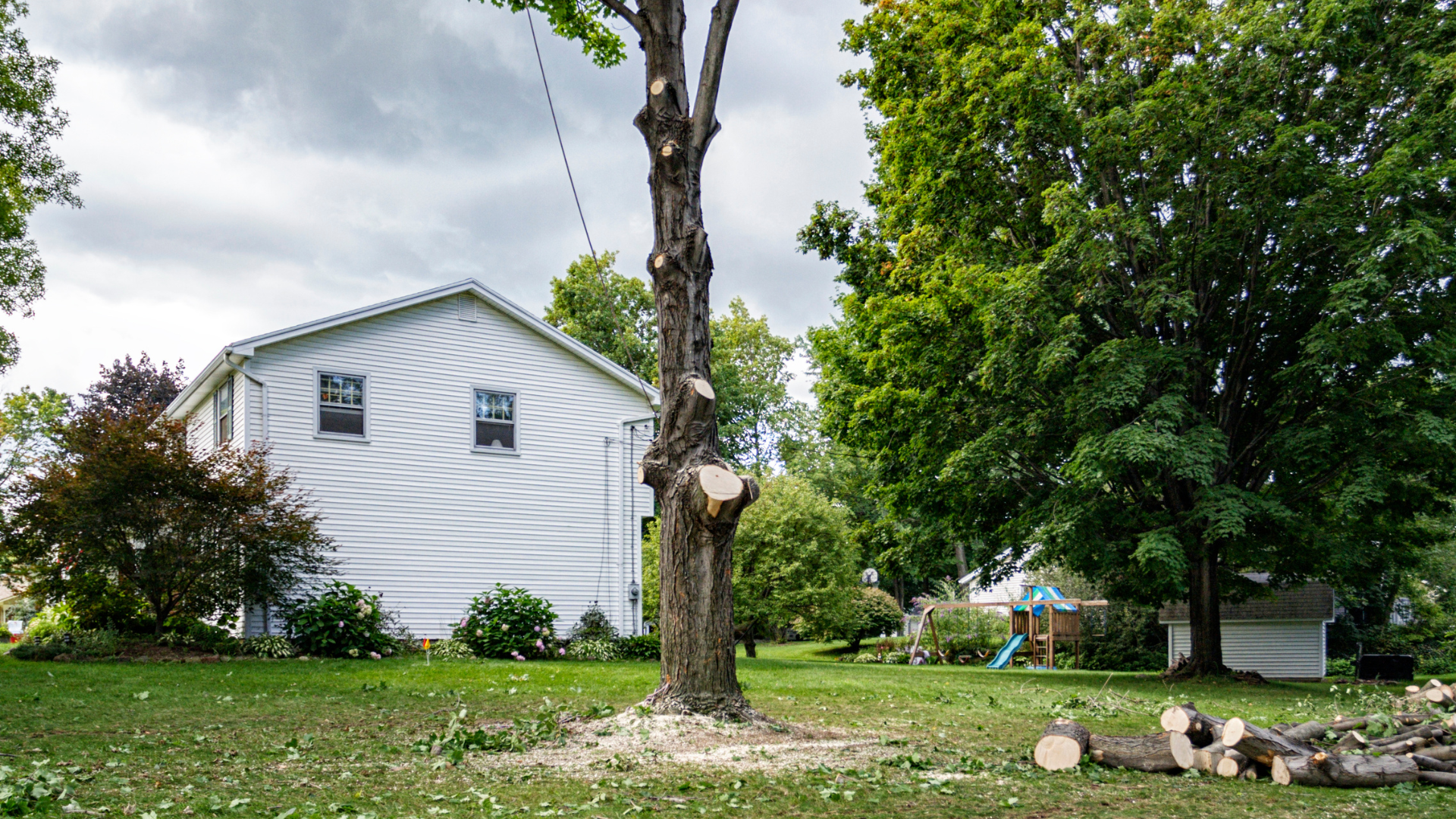 A tree is being cut down in front of a house.