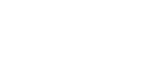 Dizon & Co logo white