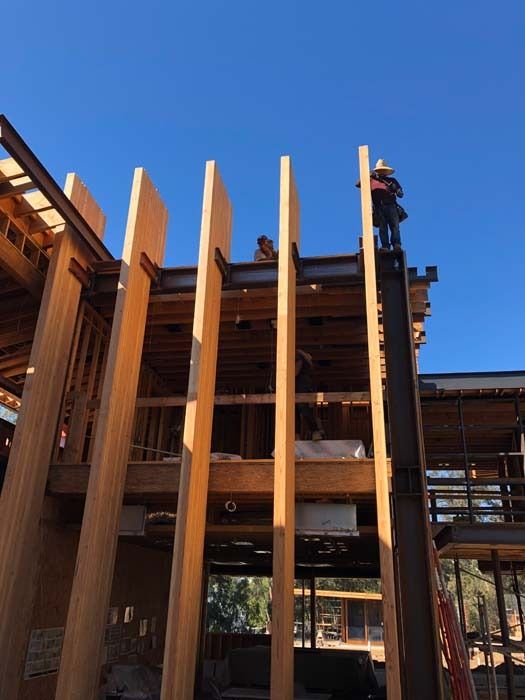 Construction workers on scaffolding, building a multi-story wood and steel framed structure under a blue sky.