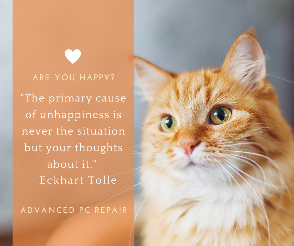 A picture of an orange cat with a quote from eckhart tolle