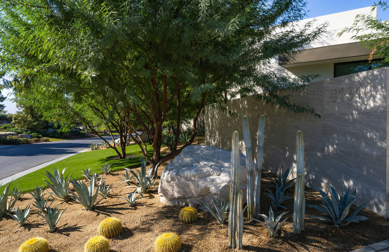 Desert landscape with cacti, agave, large rock, and green trees in front of a modern white building.