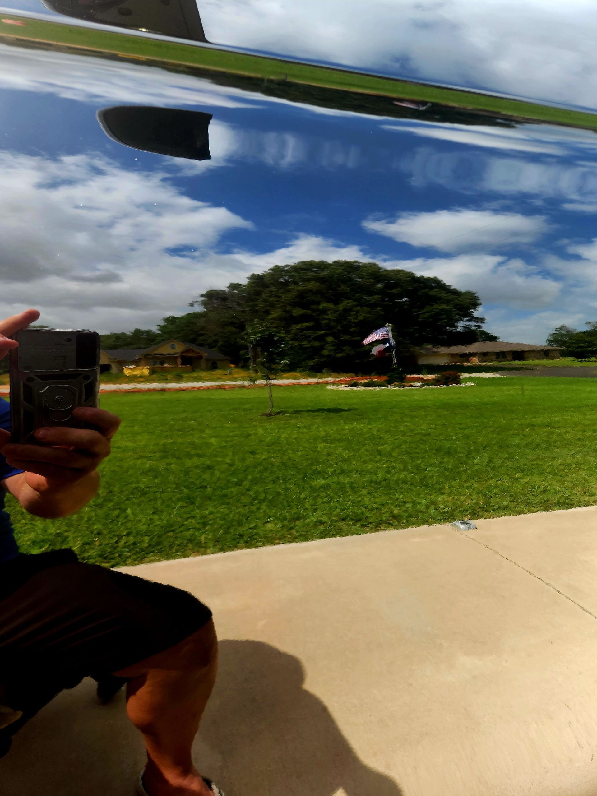 Reflection of sky, clouds, and tree in shiny surface; person taking photo.
