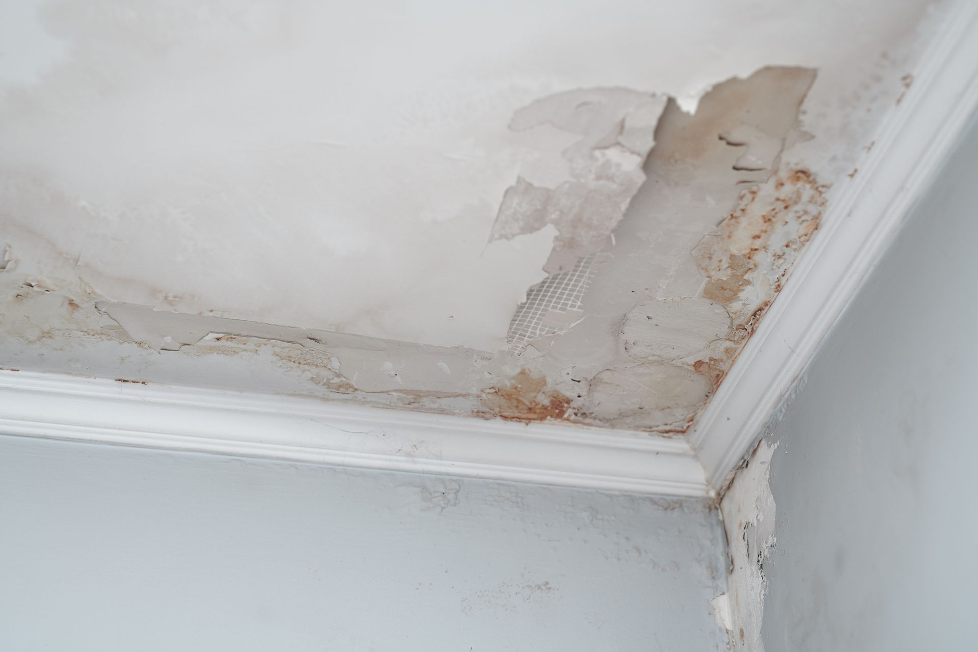 Ceiling with water damage; peeling paint, brown staining, and white molding.