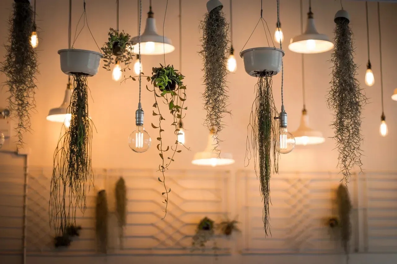 A bunch of lights hanging from the ceiling with potted plants hanging from them.