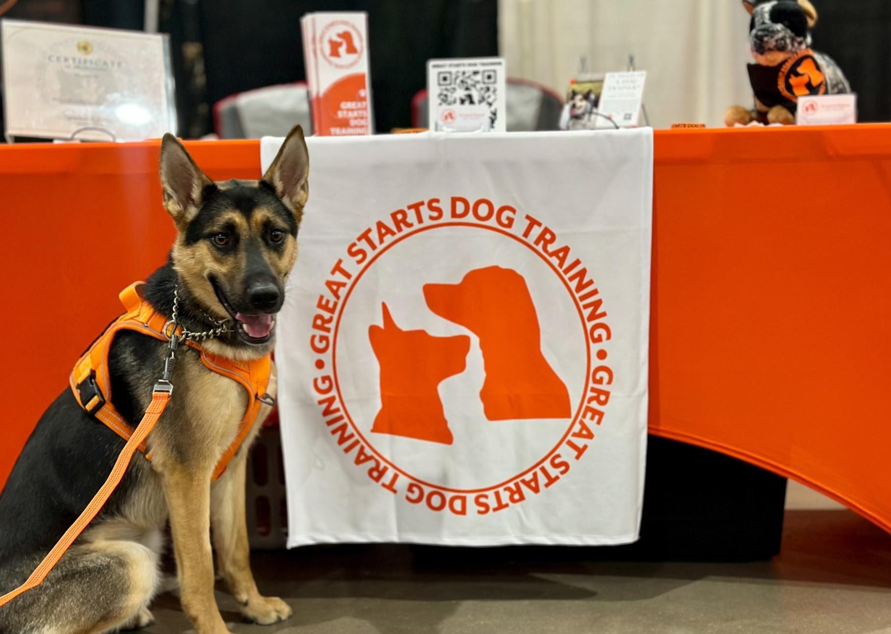 German Shepard Pup sitting in front of a table