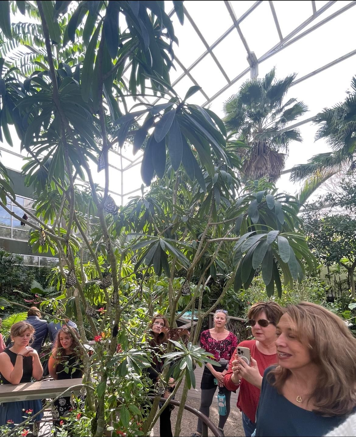 The retreat at the butterfly rainforest.