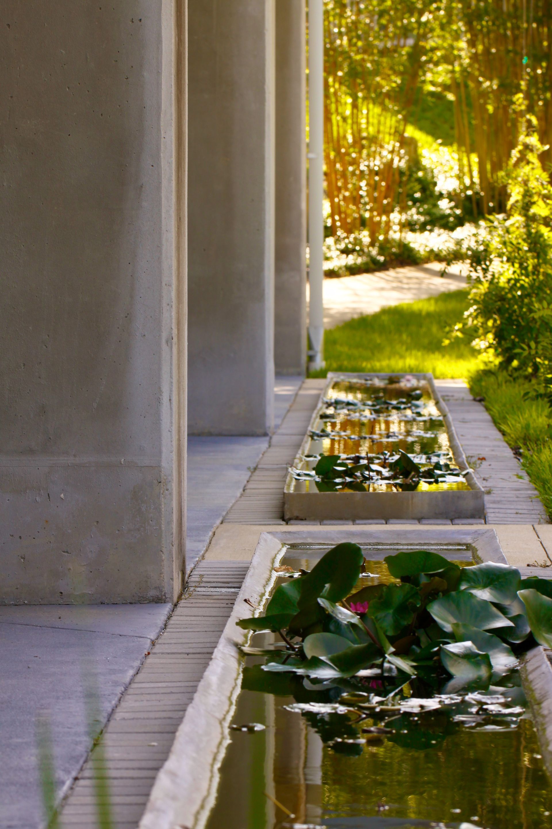 The columns at The Harn Museum in Gainesville, FL