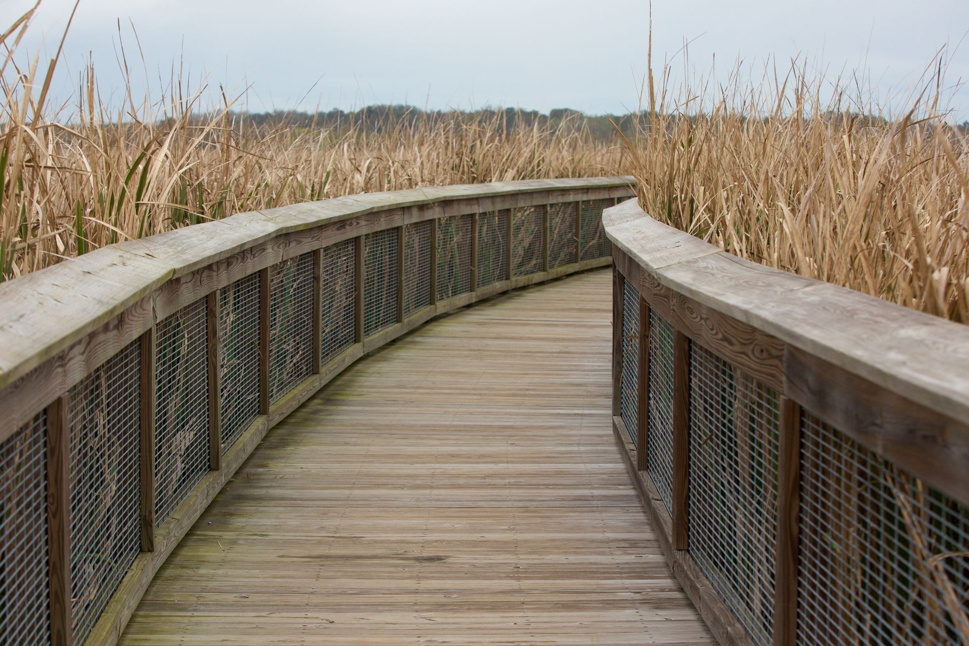 The boardwalk at Sweetwater Wetlands Preserve.