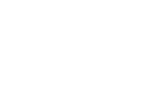 Turpin FH Logo