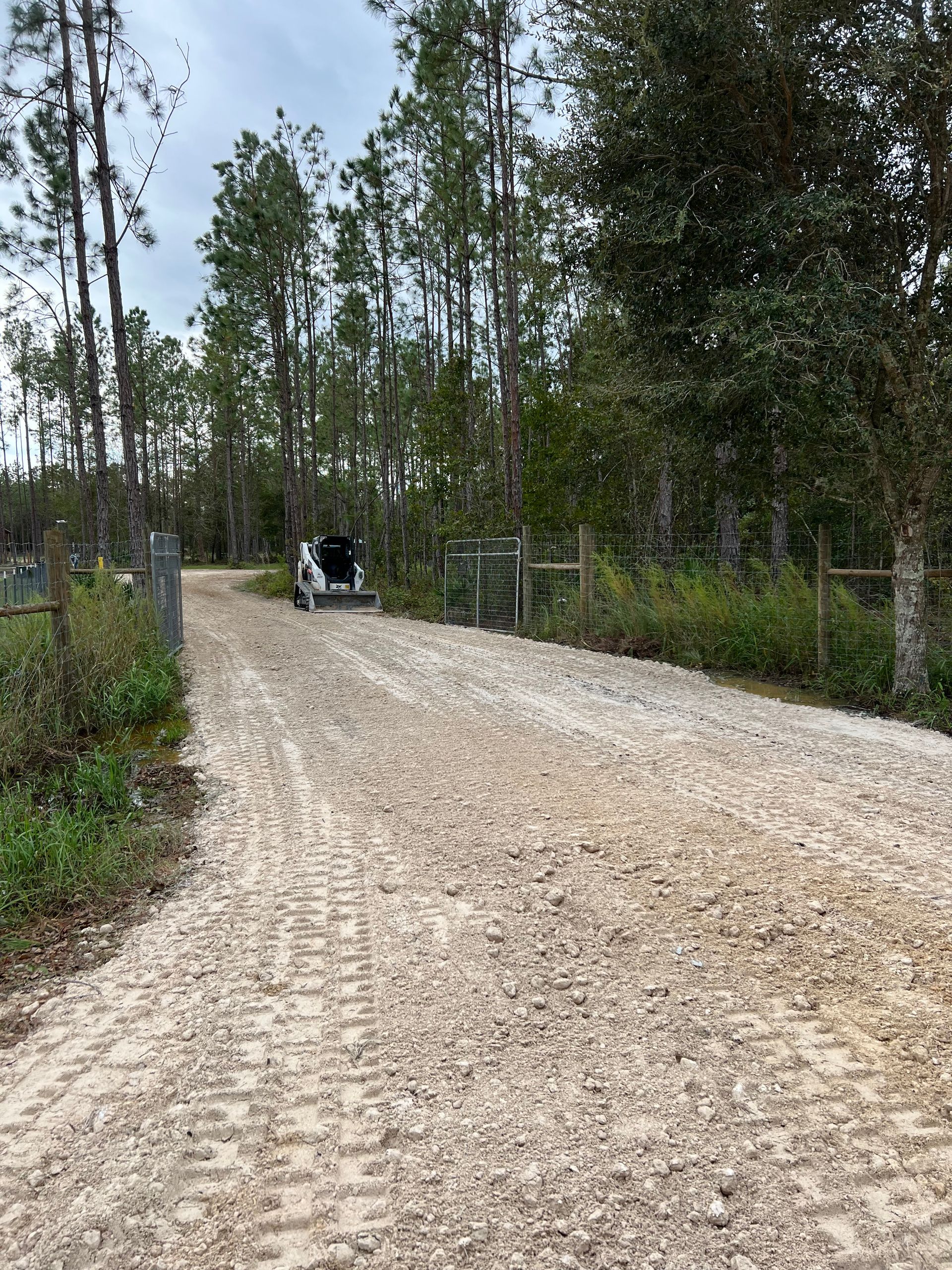 A dirt road going through a forest with trees on both sides. - Midland Contractors - Clermont, FL