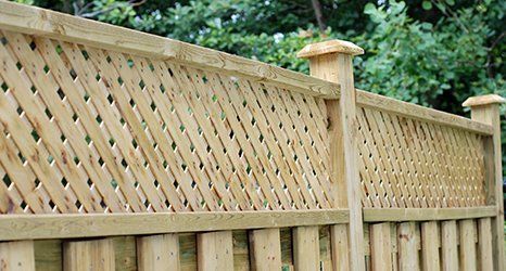 Mesh fencing