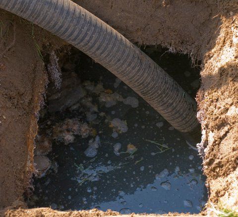 Septic Emergency — Woman Smelling A Foul Odor In Bryan, TX