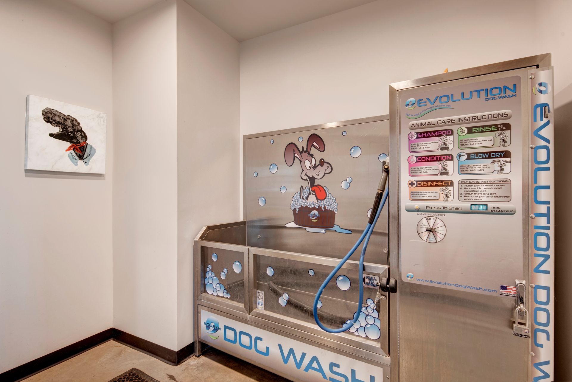A dog wash in a room with a picture of a dog on the wall.