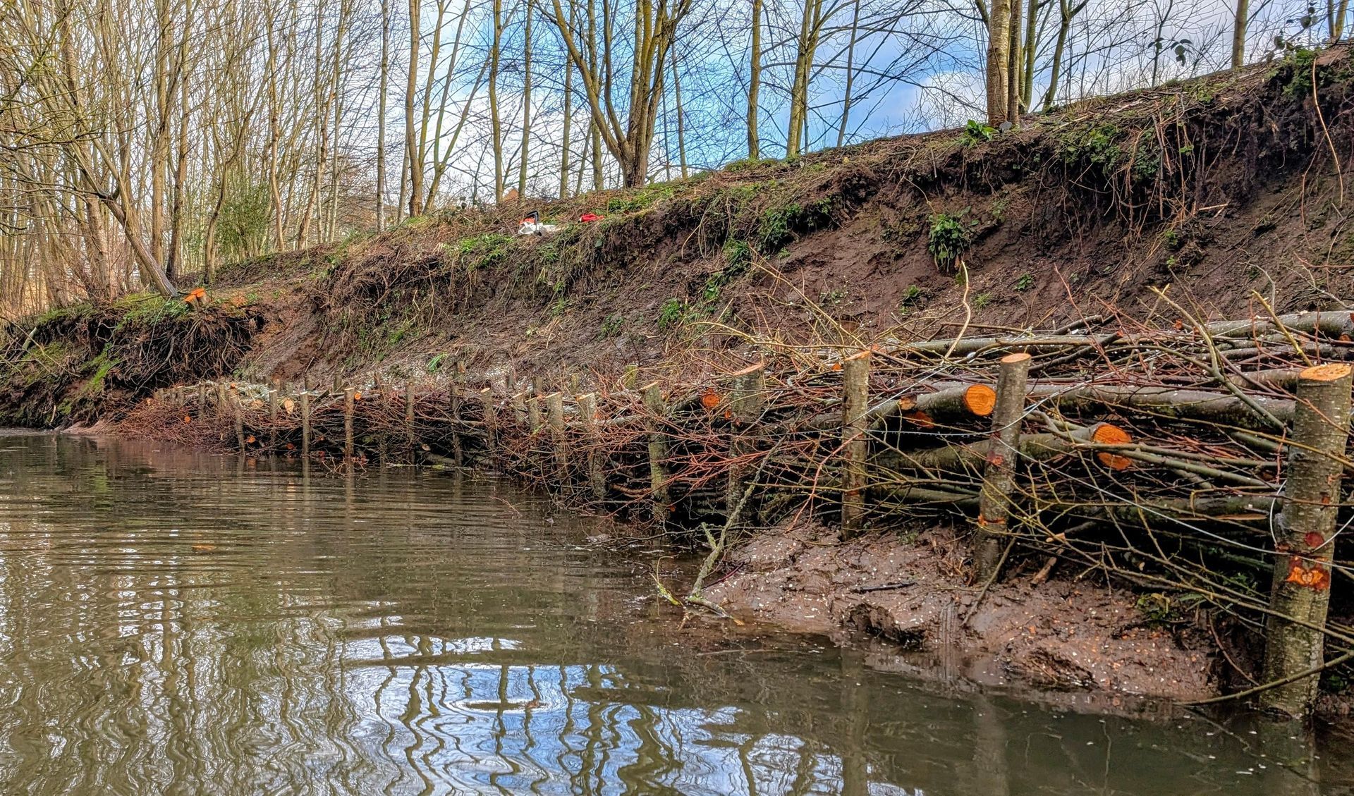 A riverbank reinforced with vertical wooden stakes and woven brushwood to prevent soil erosion.