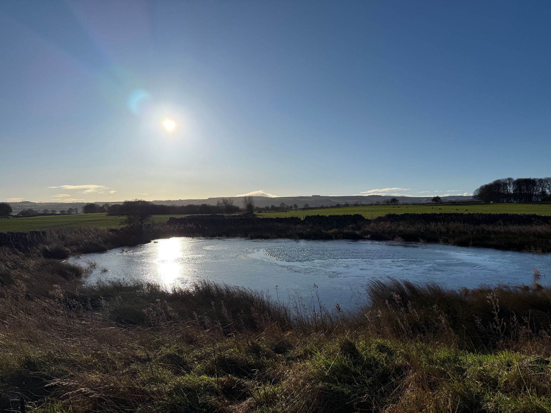A sunlit pond reflecting the bright sky, surrounded by grasses and a stone wall in a rural landscape.