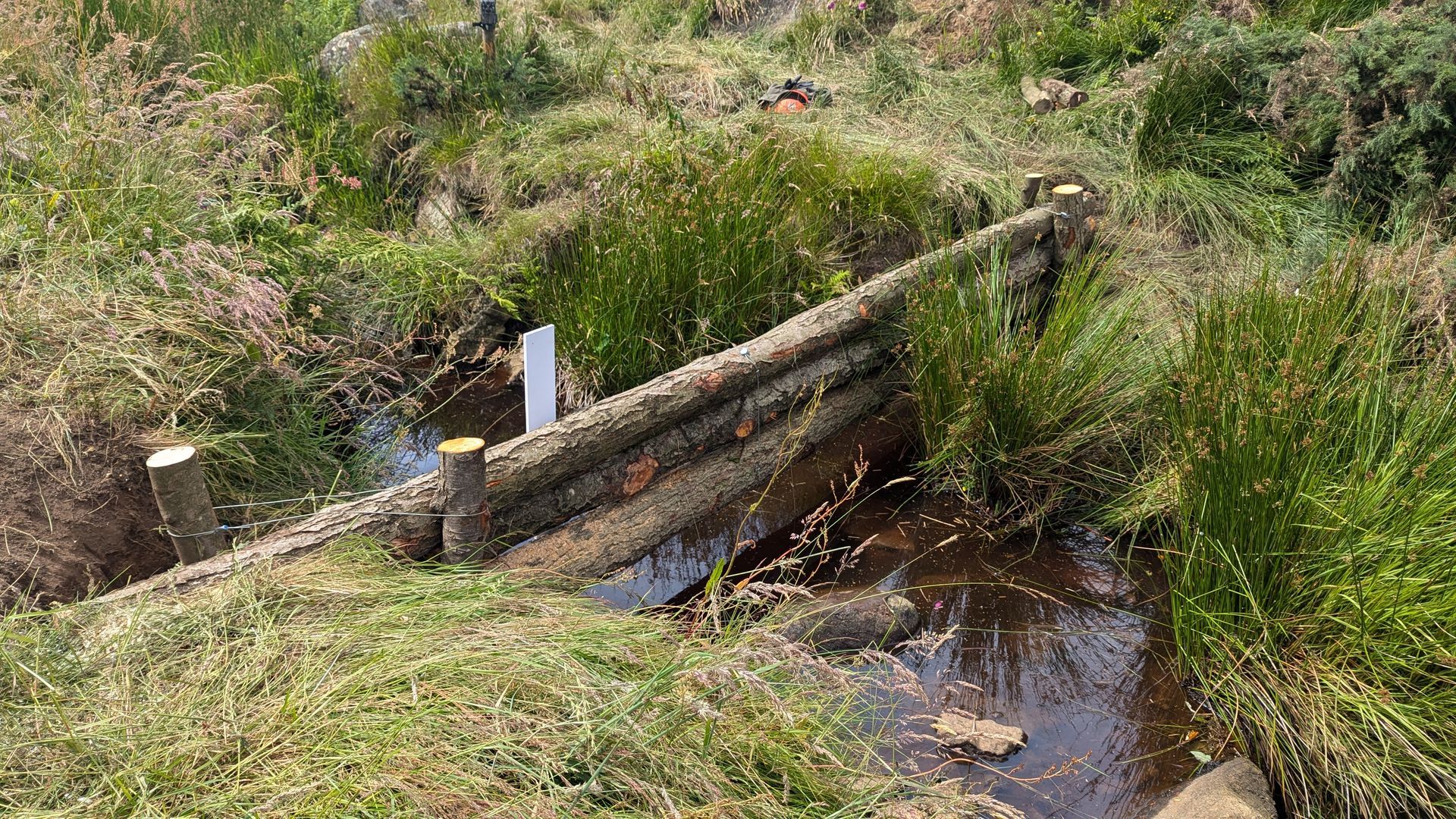 A small wooden dam constructed from horizontal logs across a narrow stream in a grassy, open landscape.