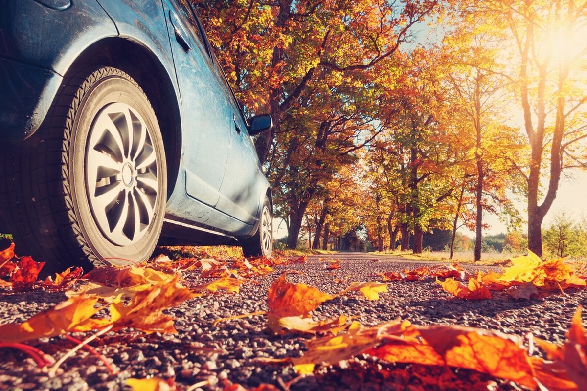 A car is parked on the side of a road covered in autumn leaves.