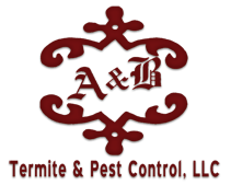Termite & Pest Control, LCC