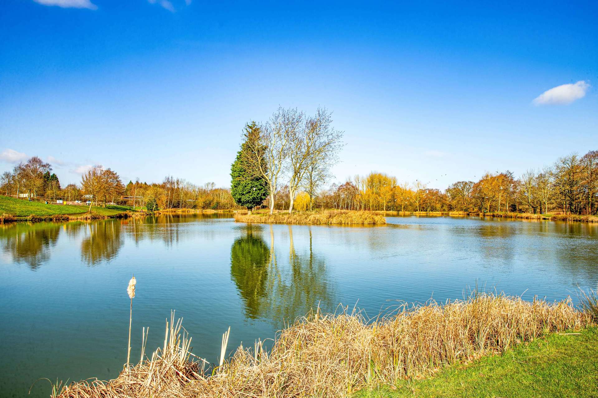 Makins Fishery fishing lake