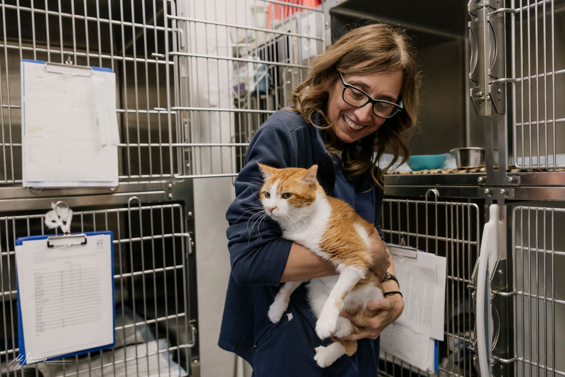 Un veterinario in camice blu esamina la bocca di un piccolo cane marrone su un lettino da visita in un ambiente clinico.