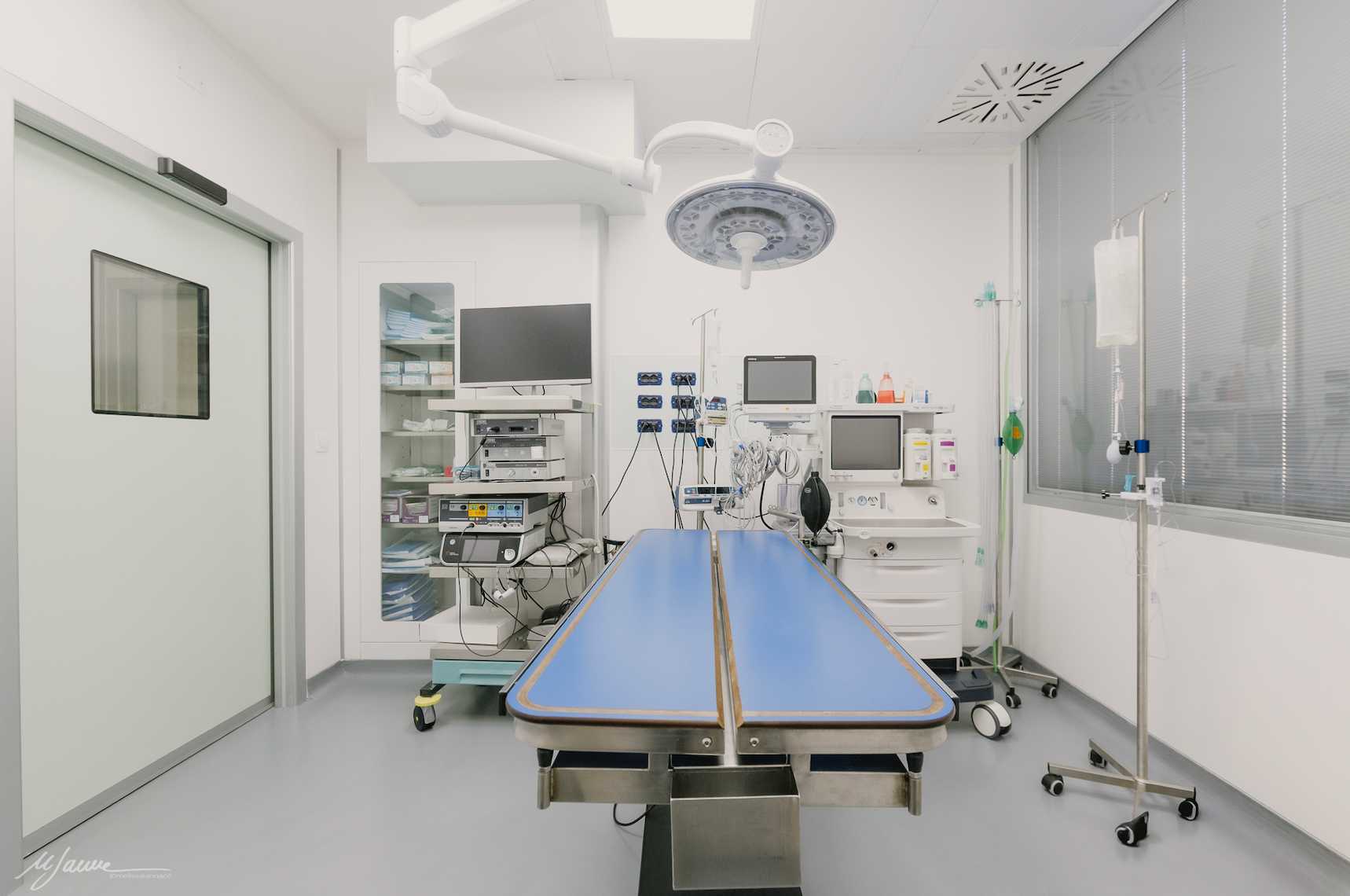 Veterinario esamina gli occhi di un gatto con uno strumento in una clinica