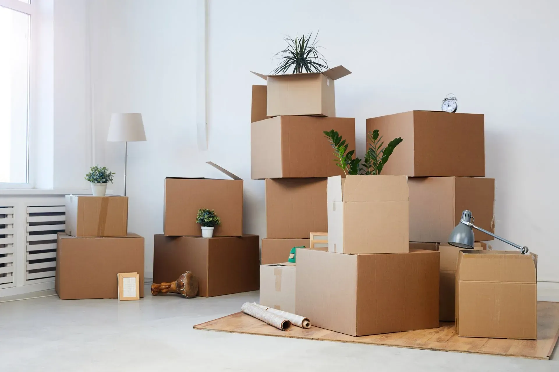 Cardboard boxes stacked in a room, containing plants and household items.