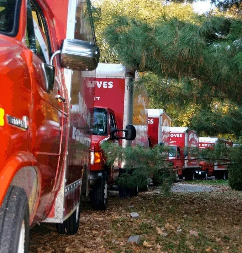 Red moving trucks parked in a row, next to a tree.