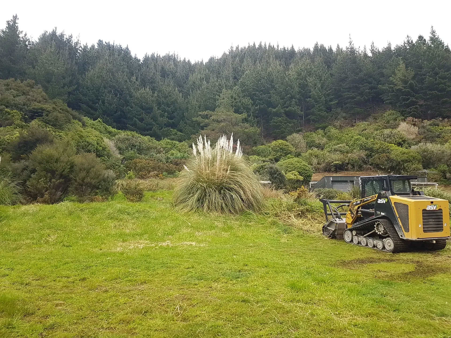 Oyster Bay Gorse Mulching Job by Bobcat Tipper Services in Marlborough, New Zealand.