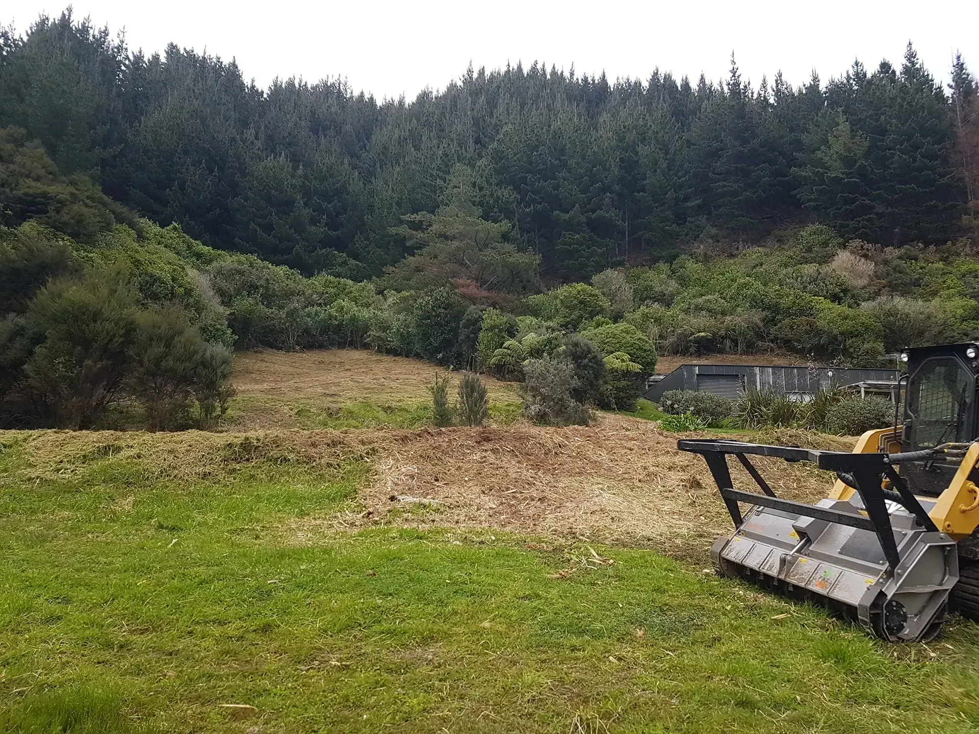 Oyster Bay Gorse Mulching Job by Bobcat Tipper Services in Marlborough, New Zealand.