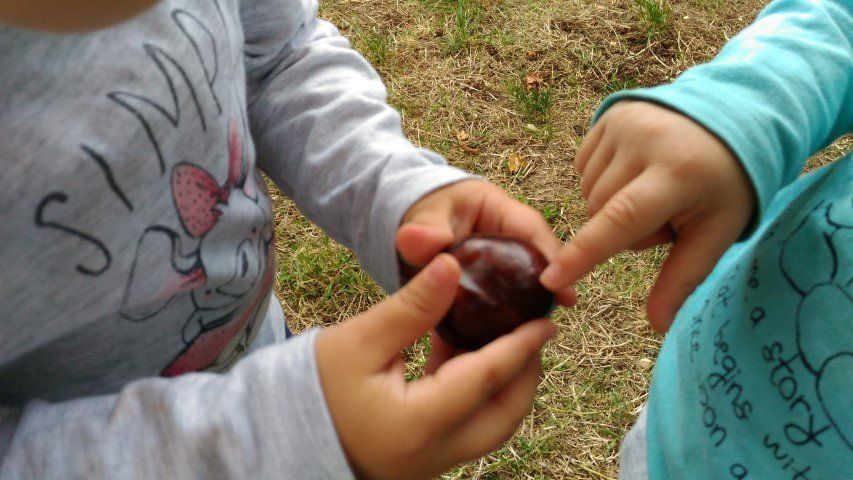 bimbi con castagna