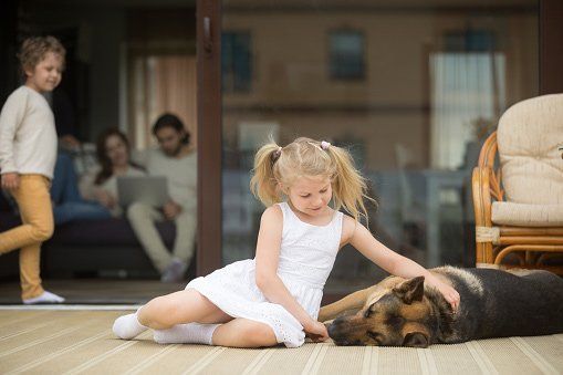 Girl petting a German Shepherd on a porch; family in the background inside the house.