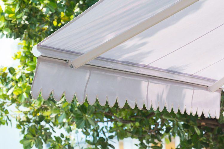 White awning with scalloped edge, extended over green foliage.
