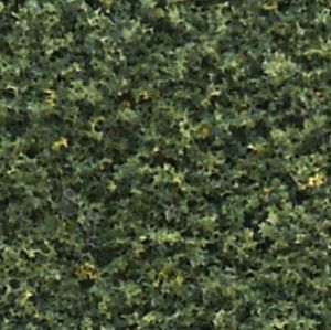 WDS1349 Fine Turf Shaker - Green Blend