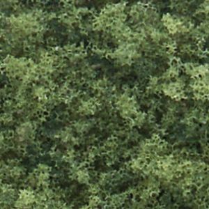 Dense green foliage filling the frame