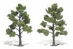 WDS1512 Trees 5