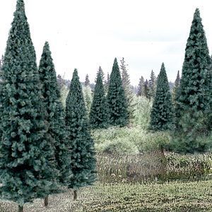 WDS1588  Bulk Trees 4