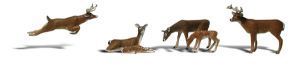 WDS2738 Deer