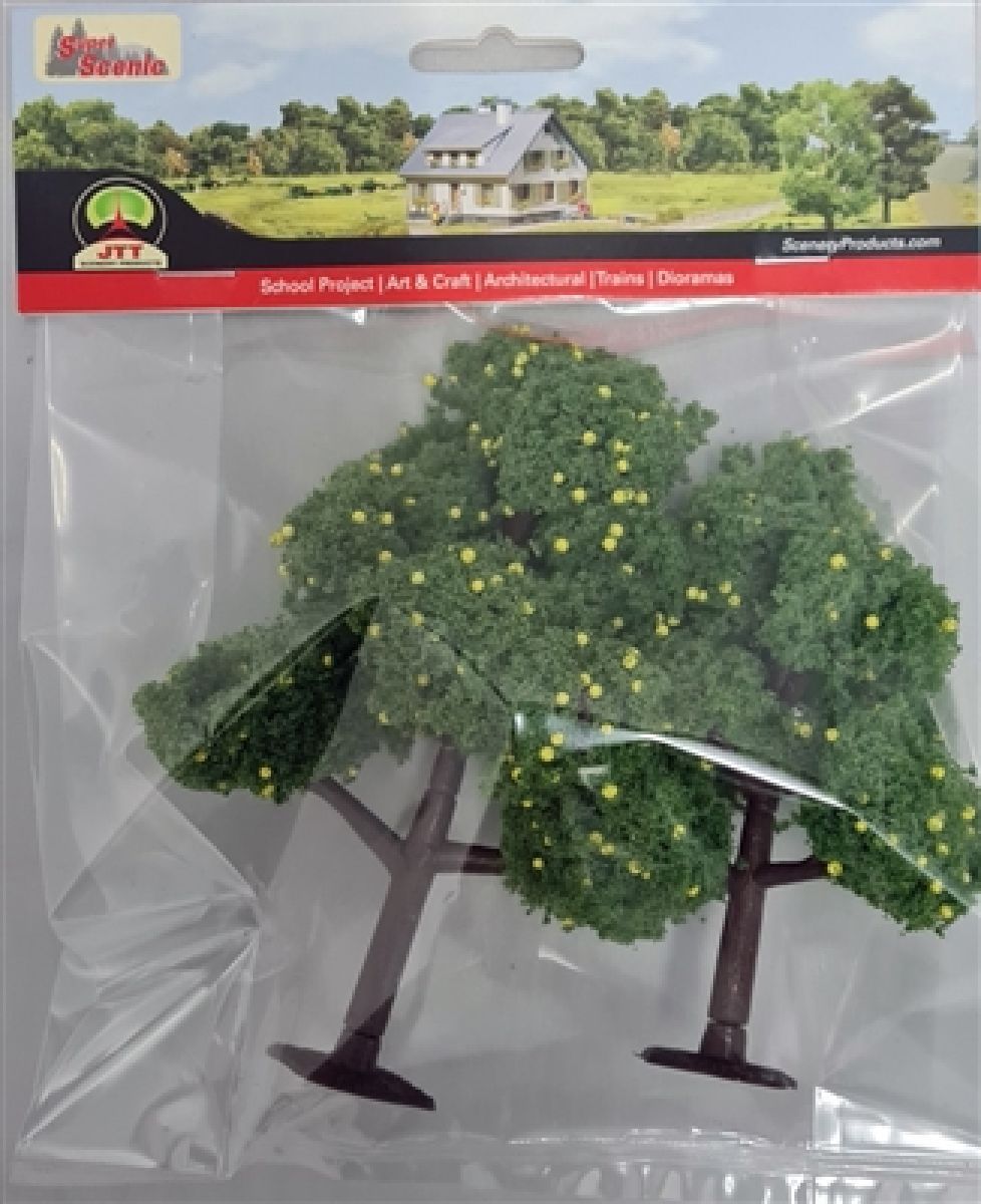 JTT92127  Lemon Tree Grove 4.5