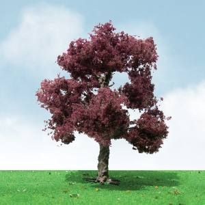 JTT92305  Copper Beech Trees - 3