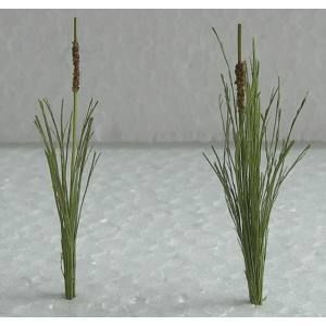JTT95536 O Cattails 1-1/2